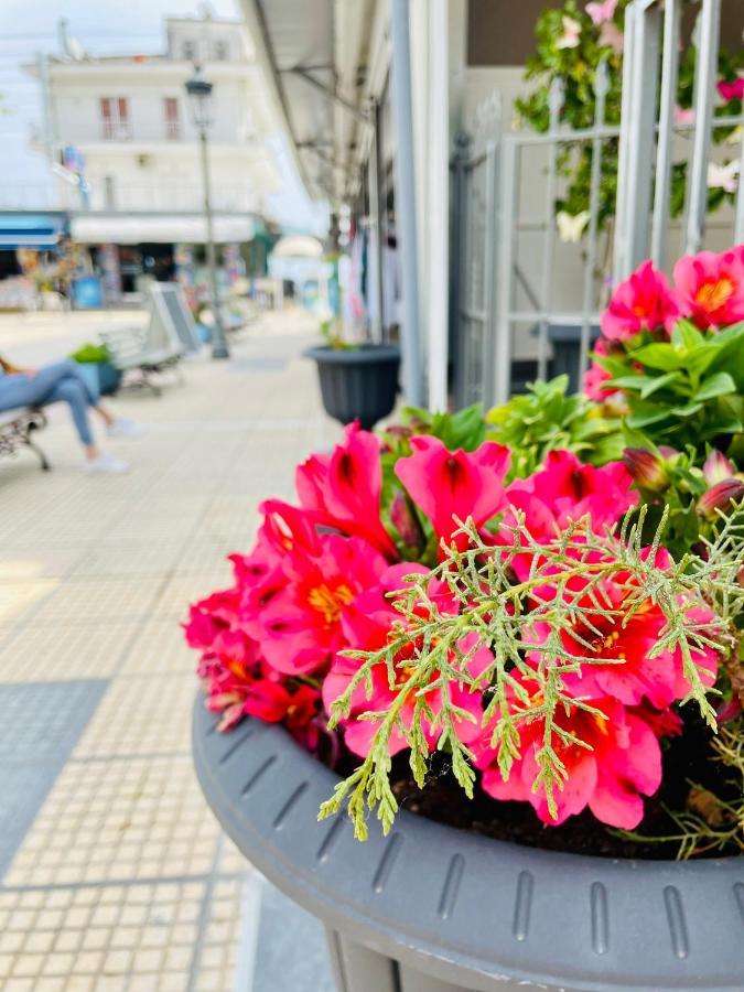 Nisel Seaside Lägenhet Paralía Exteriör bild